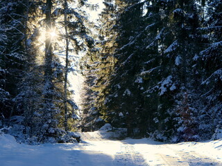 Fototapety na wymiar - Fototapeta24.pl