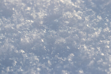 Obraz premium Many snowflakes on a snowfield