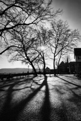 Lange Schatten im Gegenlicht