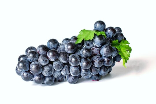 A large bunch of black grapes with green grape leaves on a white background.
