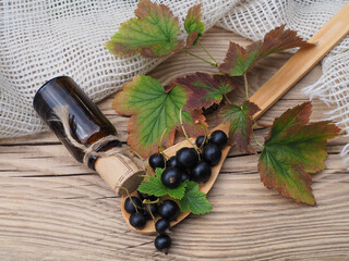 Black currant berries with leaves in a spoon, essential oil on a wooden table, flat layout. Useful fruit plant ribes nigrum  for use in alternative herbal medicine and cosmetology