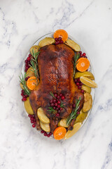 Baked christmas duck or goose stuffed with apples and cranberries with tangerine, rosemary, berry and spices on a white dish on a marble background. Top view, copy space