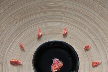 Lovely Pink geranium flower petal over water in black small cup. Ivy Leaf geranium or Geranium...