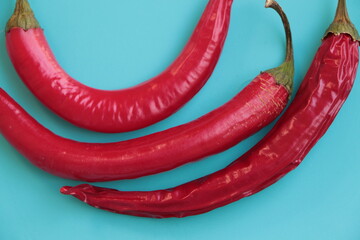 Red hot chili peppers on a blue background. Cayenne pepper, long red pepper, spur pepper