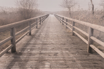 Obraz premium Wooden bridge in the forest in the fog. Calm nature scenery for book cover and background