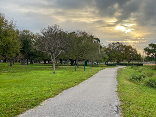 Footpath in the park  at sunrise