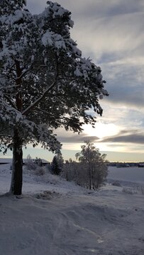sunset in the snow