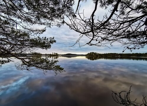 reflection in the water