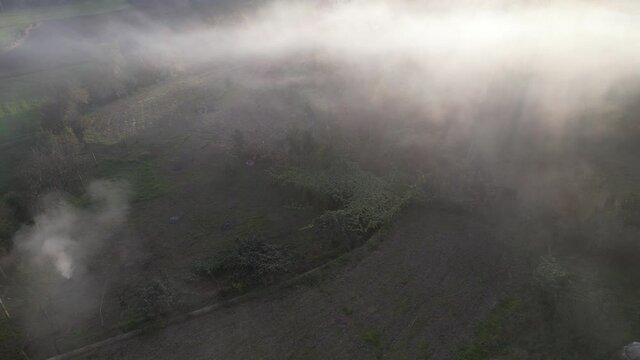 DRONE AERIAL FOOTAGE - Smoke caused by incineration. Burning agricultural waste, the easiest way to reduce or eliminate the volume of combustible materials produced by agricultural activities. 