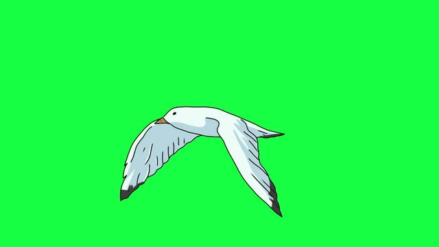 Seagull flies,
Frame by frame animation.