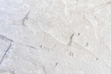detail of the surface of a concrete wall