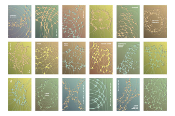 Biomedical brochure cover templates vector set.