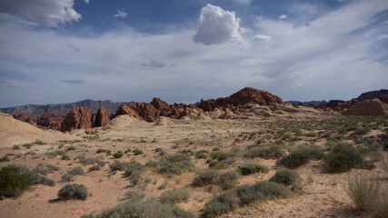 Red and yellow limestone formations in the valley of fire state park, USA