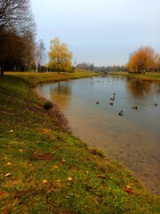 autumn in the park