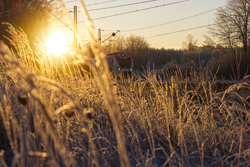 Fototapeta premium The train approaching the station in the winter early morning. Sun and frozen plants in the background. 