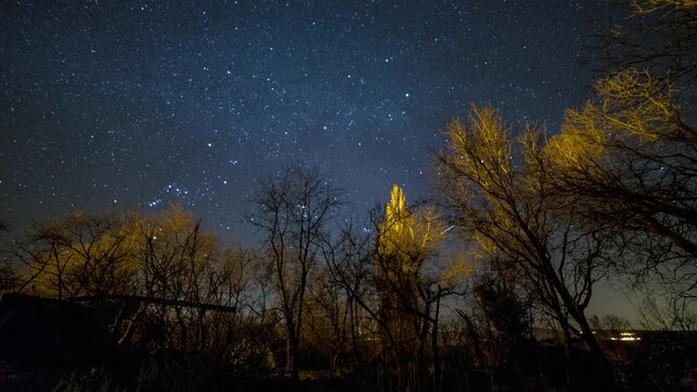 Stars in motion in a forest - 4K Time-lapse