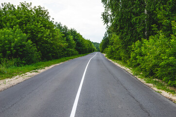 Fototapeta na wymiar Paved highway that goes into the distance. Solid white reflective stripe on a road surrounded by forest