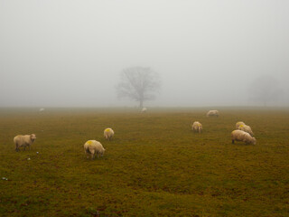 What are you looking at mister?