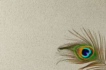 peacock feather on sand texture background top view with copy space