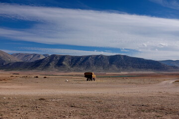Montagnes et champs cultivés. Andalousie. Espagne.