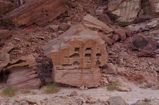 รูปภาพAmram เลือกดูภาพถ่ายสต็อก เวกเตอร์ และวิดีโอ192 Adobe Stock