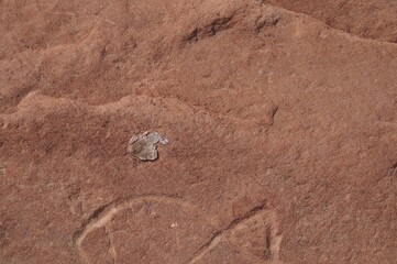Limestone surface in the desert