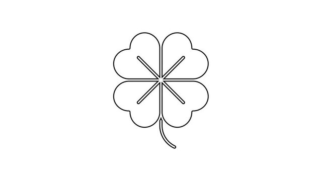 Black line Four leaf clover icon isolated on white background. Happy Saint Patrick day. 4K Video motion graphic animation