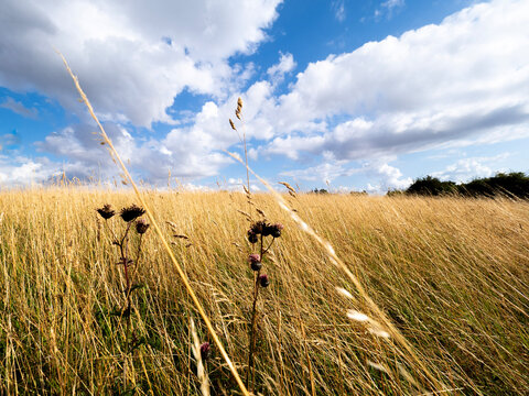 Sejer&oslash; Bugt - Denmark - August 2021