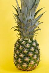 pineapple on white background