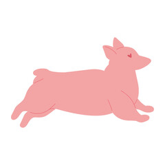 Cute pink dog with heart. little welsh corgi. Cupid. I love you. Valentine's Day. Vector flat design
