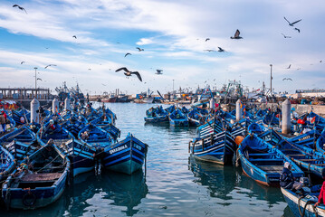 Essaouira, Morocco. October 10, 2021. Seagulls hovering over small fishing boats moored on coast at...