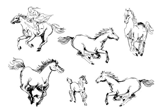 Sketch sketching hand-drawn drawing horse galloping rider graphic. Vector illustration