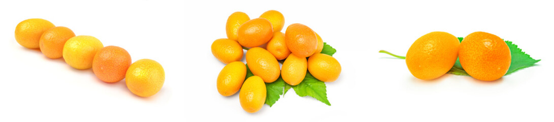 Collage of kumquats isolated on a white background