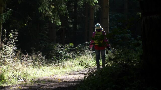 Woman walks in the forest path illuminated by a ray of sunshine. Feeling of freedom. Slow motion 4K
