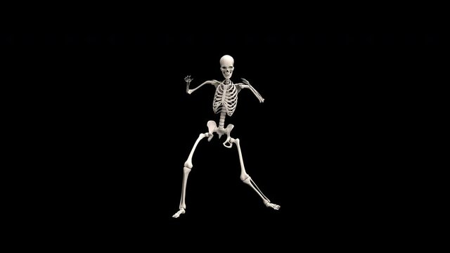 Skeleton Dancing - 3d render looped with alpha channel.