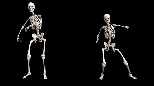 Skeleton Dancing Twist - 3d render looped with alpha channel.