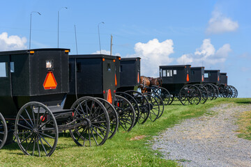 Fototapeta na wymiar Amish horse and carriages parked together 