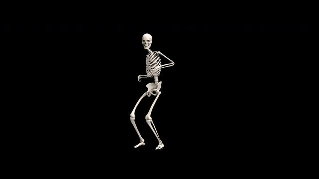 Skeleton Dancing - 3d render looped with alpha channel.