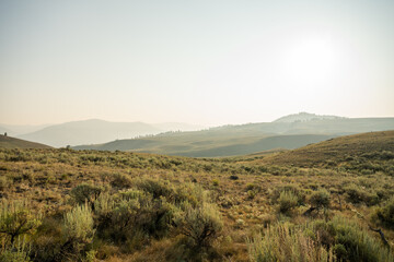 Morning Haze Over the Rolling Hills of Yellowstone