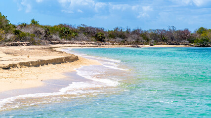 Tropical beach in desert key in the Caribbean