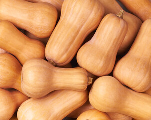 Butternut squash texture background, top view.