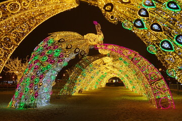 New Year and Chrismas nighttime illumination arch designed with peacock figures and pattern in...