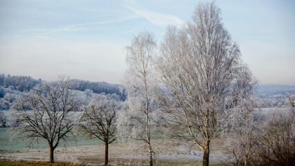 Bäume und Bad Hersfeld im Winter mit Schnee