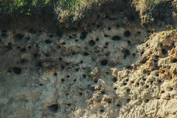 bird caves on the river bank