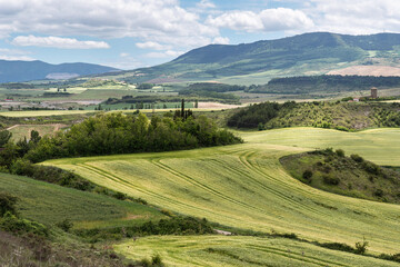 Obraz premium Fields in spring