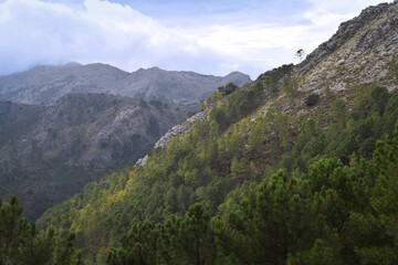 Naklejka premium landscape with mountains