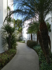 Fototapeta premium Church in Santa Barbara, California