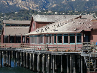 pier on the sea in santa Barbara, California