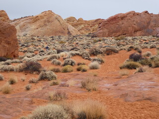 Valley of fire national park in Nevada US.