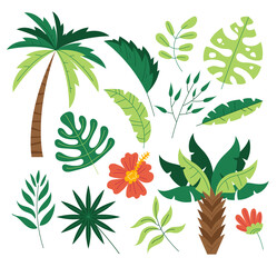 Jungle exotic flora tree palm leafes tropic plant isolated set. Vector flat graphic design cartoon illustration - obrazy, fototapety, plakaty